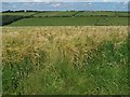 Footpath to Clanacombe