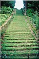 Milton Abbas: the grass staircase