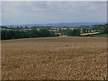 SK6806 : A view across Leicestershire countryside by Mat Fascione