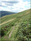 SD6593 : Path from Sedbergh to Winder and Arant Haw by Martyn Davies