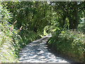 Lane to Cwm-y-Ffynnon