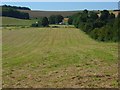 Farmland, Lopcombe Corner