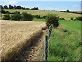 Farmland, Salisbury