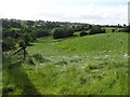 Lisalbanagh Townland