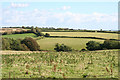 Charles: farmland near Thornpark Cross