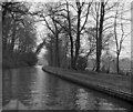 SJ4133 : Llangollen Canal alongside Blake Mere by Dr Neil Clifton