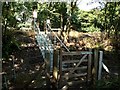 Steps at the railway pedestrian crossing from Hall Royd