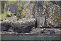 NG2506 : Kittiwakes on the cliffs at Sloc a' Ghallubhaich by John Allan