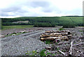 Felled Forestry near Bronbyrfe Farm, Ceredigion