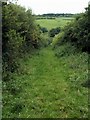 Bridleway from Alltgoch