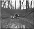 SJ4134 : Ellesmere Tunnel, Llangollen Canal by Dr Neil Clifton
