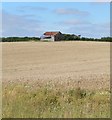 Derelict Barn