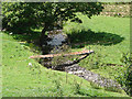 Pasture in Cwm Nant Carfan