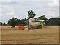 Combine harvesting wheat field