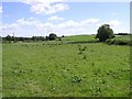 Carrydarragh Townland