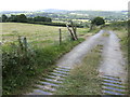 The Towy valley