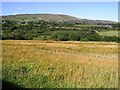 Tullynure Townland