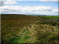 SD9347 : Pennine Way on Low Hill by Chris Heaton