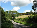 Hill slope above the Ceint Valley