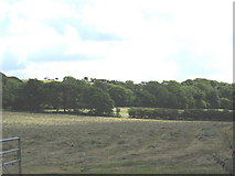 SH5075 : Hay meadow opposite Dyffryn by Eric Jones