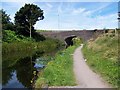 SK0407 : Burntwood Bridge, Anglesey Branch by Geoff Pick