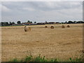 Baled straw, Thorpe Row beyond