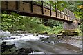 Footbridge, Clare Glen near Tanderagee (1)