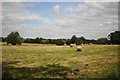 Pickworth farmland