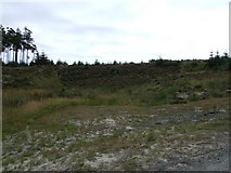 NY7599 : Disused Quarry by Peter McDermott