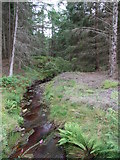 NY7799 : Hindhope Burn by Peter McDermott