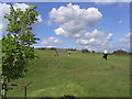 Golfers on the 1st hole at Newcastleton Golf Course