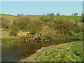 Slough Wheel,  River Avon