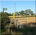 Public Footpath to Billesdon