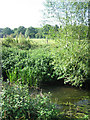 River and water meadows near Old Carr wood