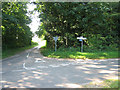 Road junction in woodland near Sparrow Green