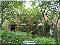 Neglected cottages near Pudding Norton