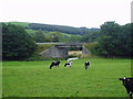 A75 Road Bridge over the Tarff Water.