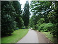 Footpath to Muncaster Castle