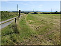 Track and fields north of Three Wells