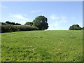 Pasture land near Beaconing