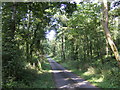 Lane near Martledge