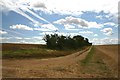 TL5753 : Track near Wadlow Farm by Bob Jones