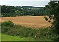 Near Farleigh Hungerford