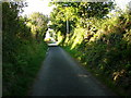 Lane from Bryn-henllan to Cwm-yr-Eglwys, looking north