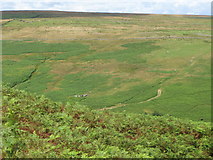 NY9847 : The valley of Burnhope Burn by Mike Quinn