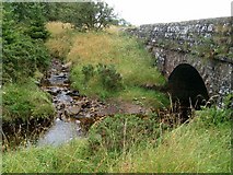 NY5280 : Smithy Gill joins Bailey Water by Rose and Trev Clough
