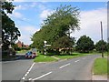 Village green - Great Ouseburn