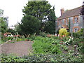 Cottage garden in Henley