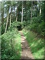 Path above Jubilee Drive