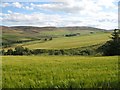 Barley, Greenloan